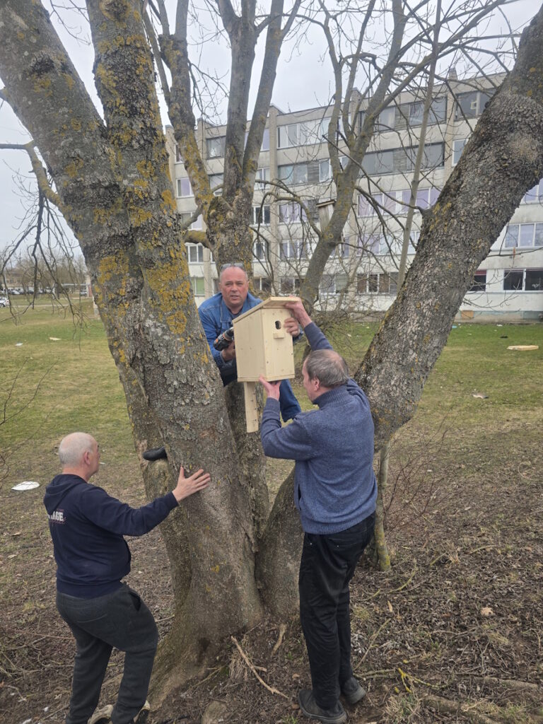 Į medį keliamas inkilas